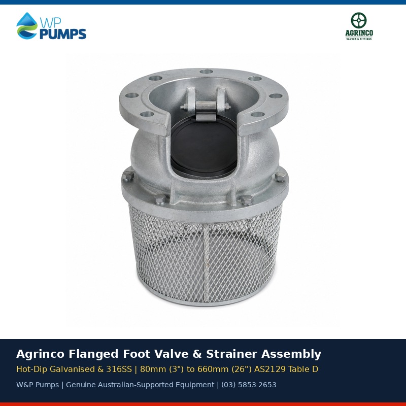 Agrinco Hot-Dip Galvanised & 316SS Flanged Foot Valve & Strainer Assembly